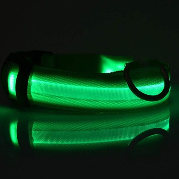 Nylon LED Pet Dog Luminous Collar Night Safety Flashing Glow in Dark Dog Cat Leash Adjustable Pet Supplies - Image 8