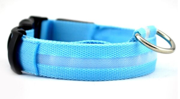 Nylon LED Pet Dog Luminous Collar Night Safety Flashing Glow in Dark Dog Cat Leash Adjustable Pet Supplies - Image 10