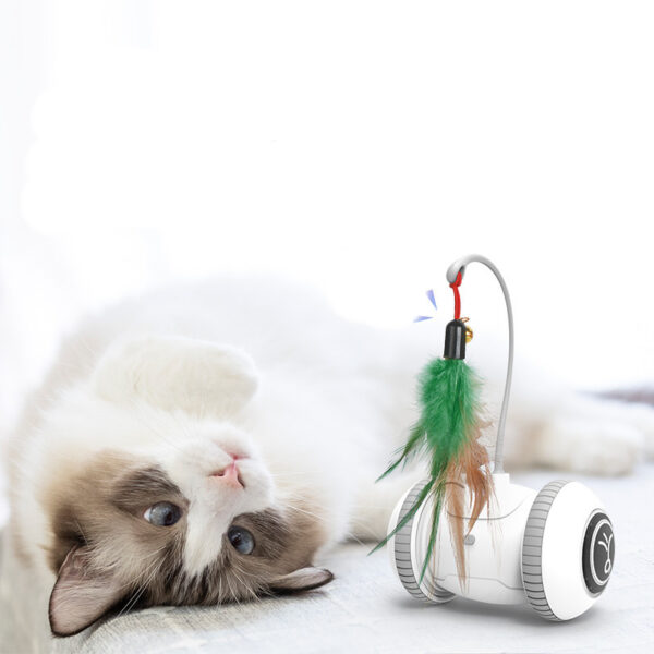 Interactive Cat Toy With Interchangeable Heads  Pet Feather Toys - Image 2