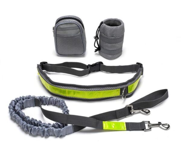 Adjustable Hands Free Dog Leash - Image 4