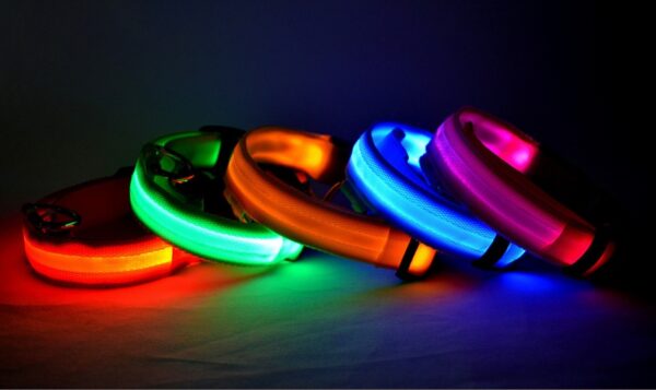 Nylon LED Pet Dog Luminous Collar Night Safety Flashing Glow in Dark Dog Cat Leash Adjustable Pet Supplies - Image 3