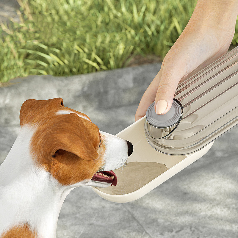 Pet Drinking Tools
