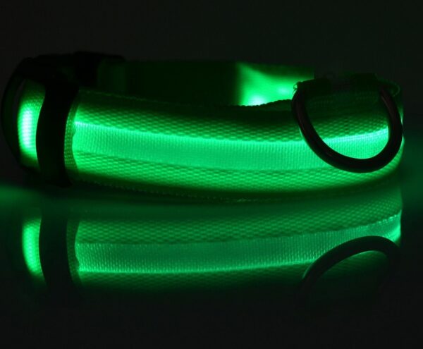 Nylon LED Pet Dog Luminous Collar Night Safety Flashing Glow in Dark Dog Cat Leash Adjustable Pet Supplies - Image 2