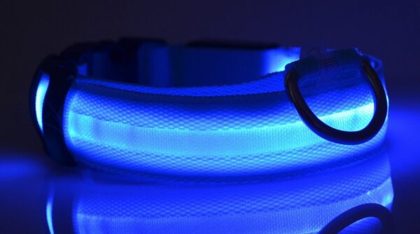 Nylon LED Pet Dog Luminous Collar Night Safety Flashing Glow in Dark Dog Cat Leash Adjustable Pet Supplies - Image 5