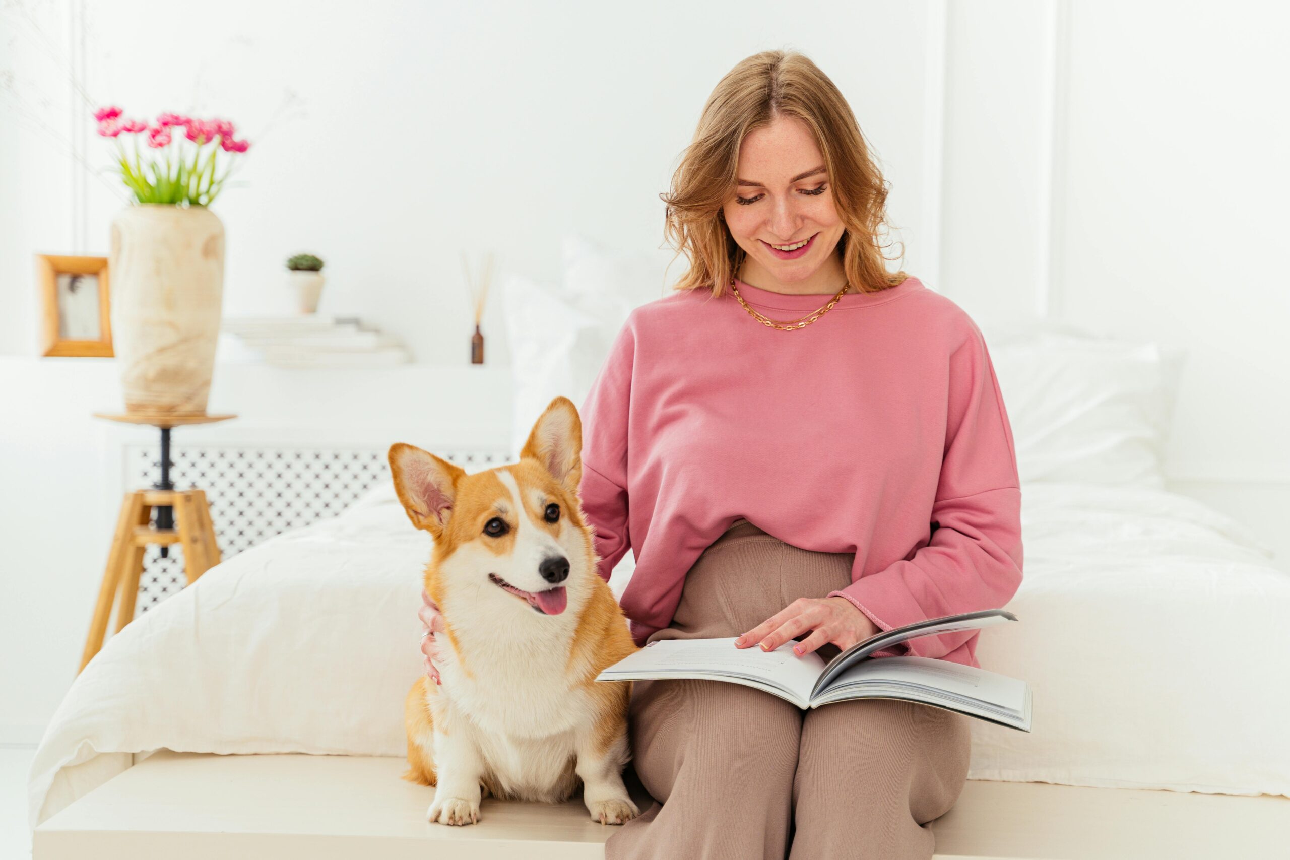 Pet Supplies